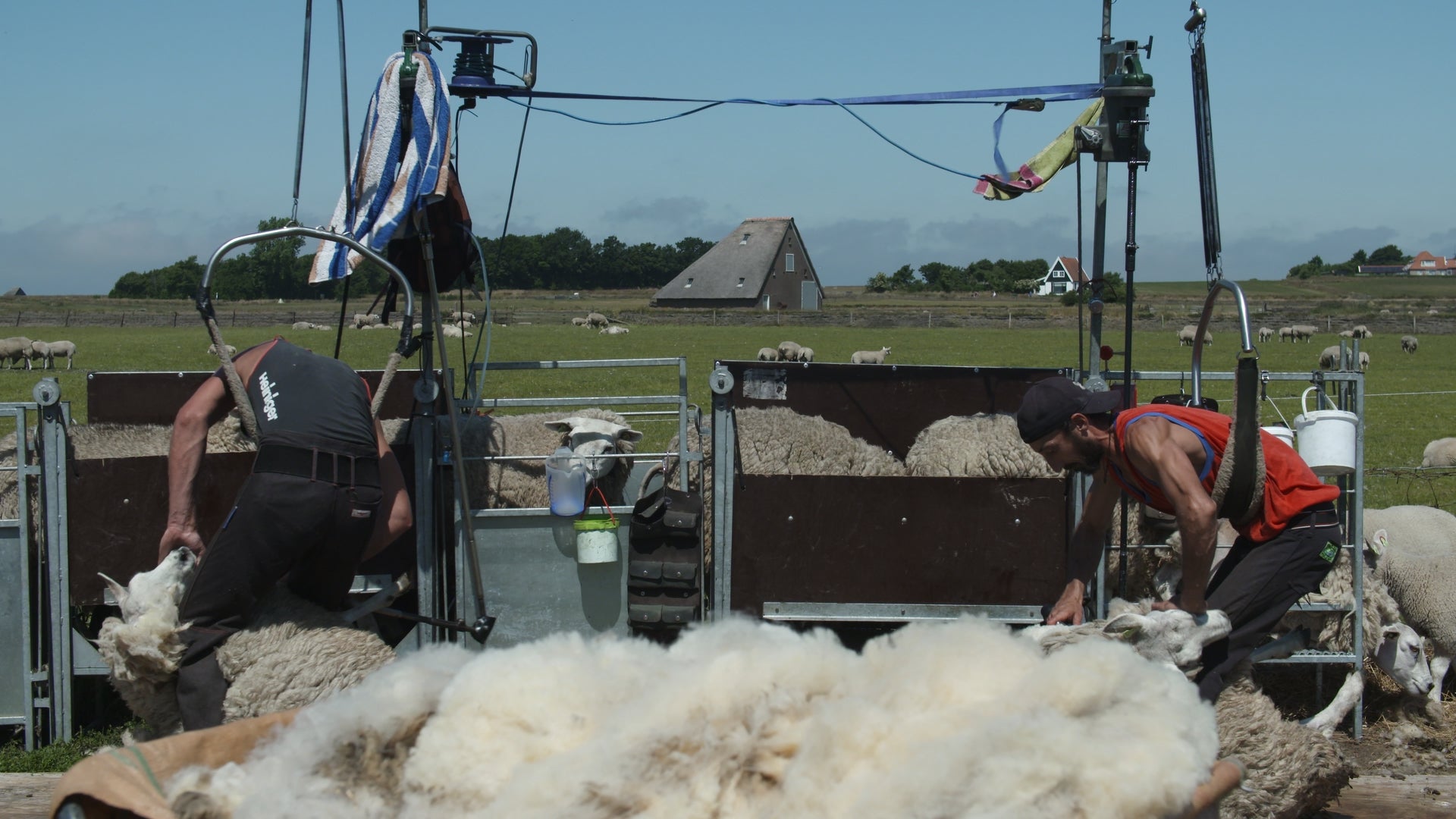 Fantasy Football Trophy | Chrome Replica Trophy for Fantasy Football Champions